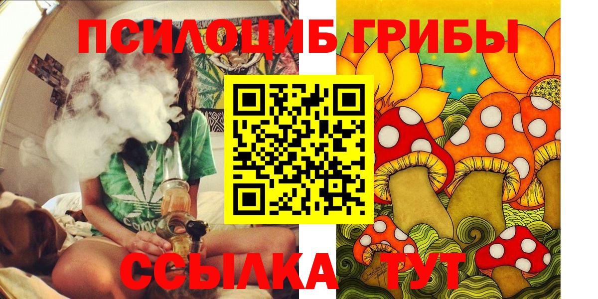 Галлюциногенные грибы GOLDEN TEACHER Грозный